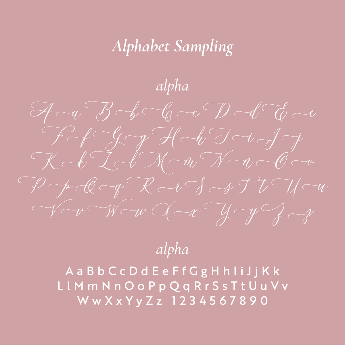 Mr & Mrs return address stamp