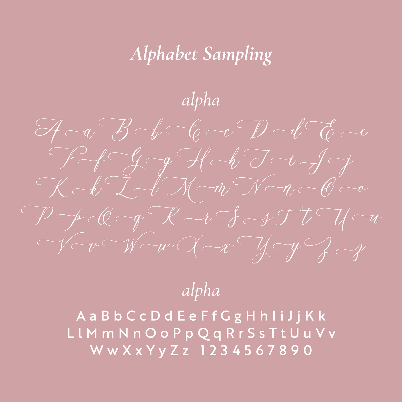 Mr & Mrs return address stamp